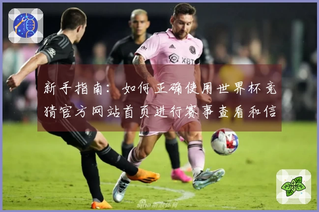 新手指南：如何正确使用世界杯竞猜官方网站首页进行赛事查看和信息获取