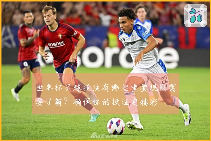 世界杯买球投注有哪些重要规则需要了解？确保你的投注更精彩