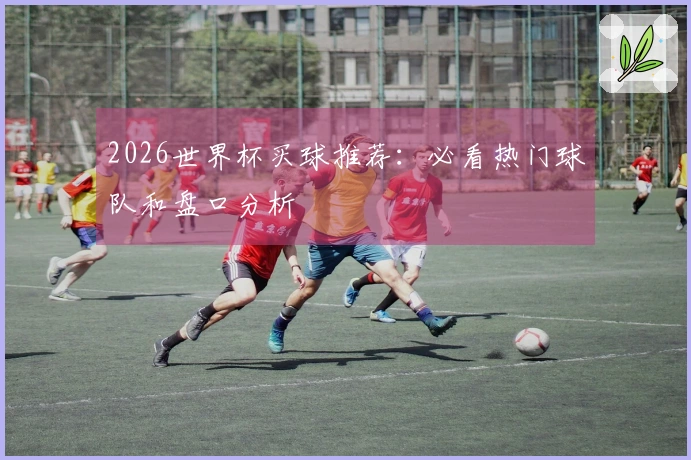 2026世界杯买球推荐：必看热门球队和盘口分析