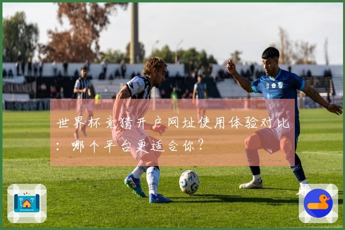 世界杯竞猜开户网址使用体验对比：哪个平台更适合你？