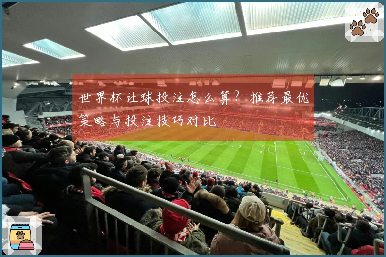 世界杯让球投注怎么算？推荐最优策略与投注技巧对比