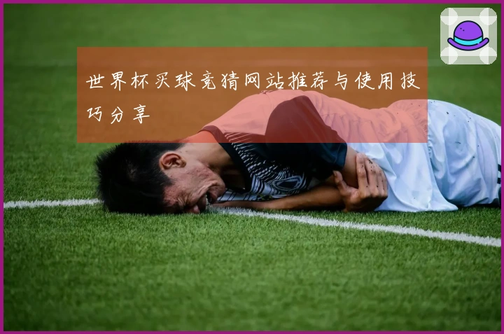 世界杯买球竞猜网站推荐与使用技巧分享