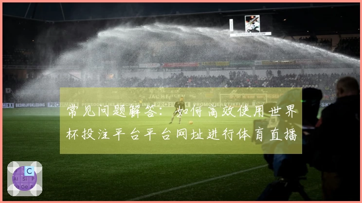 常见问题解答：如何高效使用世界杯投注平台平台网址进行体育直播体验