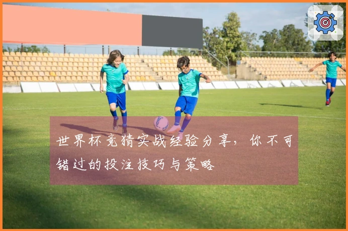 世界杯竞猜实战经验分享，你不可错过的投注技巧与策略