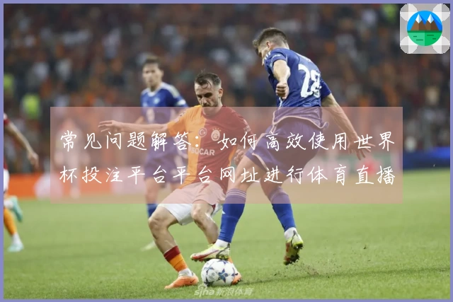 常见问题解答：如何高效使用世界杯投注平台平台网址进行体育直播体验