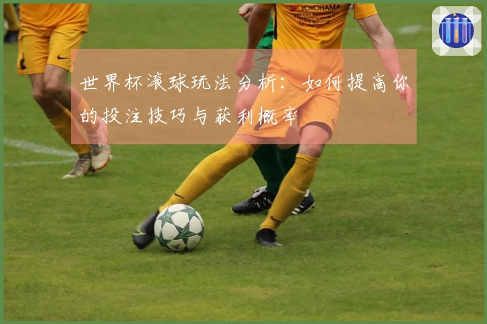 世界杯滚球玩法分析：如何提高你的投注技巧与获利概率